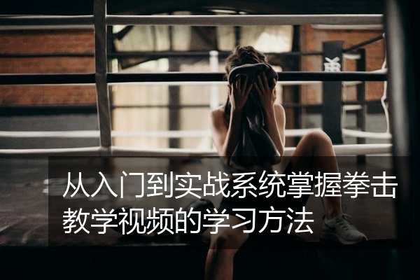 从入门到实战系统掌握拳击教学视频的学习方法
