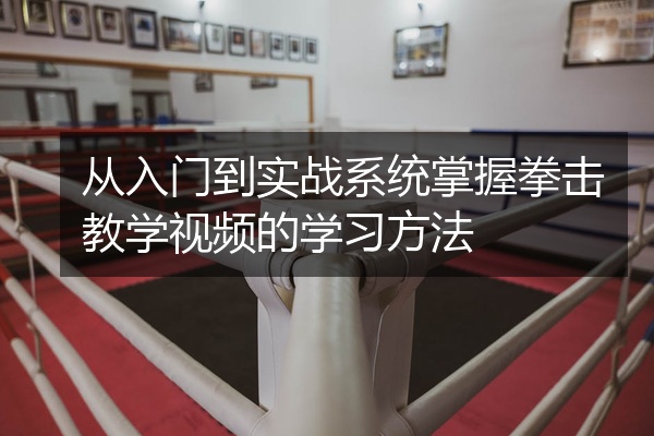 从入门到实战系统掌握拳击教学视频的学习方法